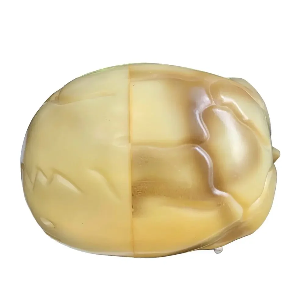 Halloween Bundle: Skeleton Shirt 2Xl, Vincent the Living Skull, Sugar Skull  Mug - Picture 12 of 12